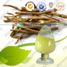 Factory Sell Herbal Supplement Baical Skullcap Root Radix Scutellariae